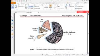 1er Année SNV – Géologie – Géodynamique Externe  Les roches sédimentaires [upl. by Gosselin]