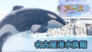 名古屋港水族館へ弾丸ツアー [upl. by Arvo]