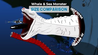 Whale Fish and Sea Monster Size Comparison [upl. by Demetria]