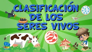 LA CLASIFICACIÓN DE LOS SERES VIVOS Vídeos Educativos para Niños [upl. by Richma59]