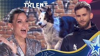 Esta habilidosa PERRITA quiere ser ¡campeona olímpica  Semifinales 03  Got Talent España 2023 [upl. by Zales]