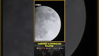 Partial eclipse of Harvest Supermoon seen over Venezuela  Video [upl. by Beitris]