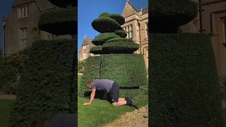 This guy cut the grass PT2 shorts youtubeshorts shortsfeed viralvideo viralshort [upl. by Ehrsam]