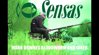 BLOODWORM and JOKER guide with MARK DOWNES for the Sensas Challenge on the Gloucester Canal [upl. by Araeic]