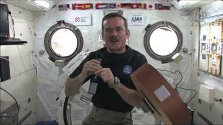 Chris Hadfield parle à 820 élèves en direct de lespace [upl. by Hgieloj]