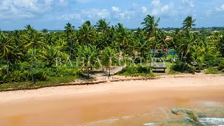 Terreno pé na areia à venda Barra Grande Bahia Península de Maraú 125  Pé na areia [upl. by Nimrac]