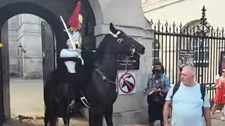 Man bangs metal plate on dont touch sign kings guard brings horse out of box tells him to move on [upl. by Kinelski]