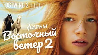 Восточный ветер 2 Ostwind 2 Фильм HD [upl. by Eillime]