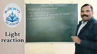 MECHANISM OF PHOTOSYNTHESIS LIGHT REACTION  PHOTOPHOSPHORYLATION [upl. by Atwekk]