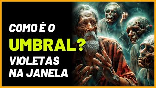 Como é o Umbral  Segundo os espíritos da obra Violetas na Janela [upl. by Rehprotsirhc]