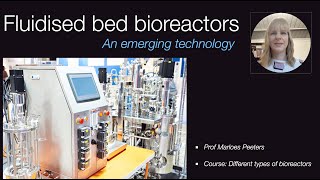 Fluidised bed bioreactors for biotechnology applications [upl. by Maccarthy768]