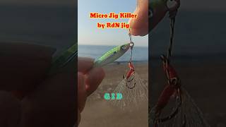 Micro Jig Killer Full GID by RdN Jig  Grosir Micro Jig Murah Berkualitas microjig [upl. by Mallissa731]