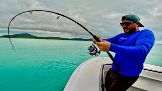 Island Madness HIGH SPEED Jigging [upl. by Godric206]