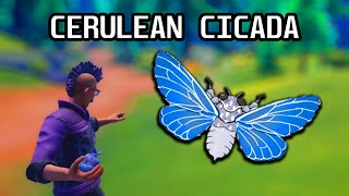 Where and when to find Cerulean Cicada  PALIA [upl. by Ad]