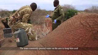 Saving Lives from the Sky  Sheldrick Trust [upl. by Golding]