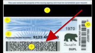 How We PROPERLY Encode PDF 417 Barcodes for Age Verification [upl. by Nims]