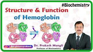 Structure and function of hemoglobin [upl. by Klusek]