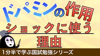 1分半で学ぶ国試勉強シリーズ「ドパミンの作用機序とは」ショックに使う理由をわかりやすく解説！ [upl. by Eladnor817]