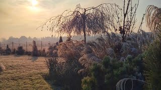 Dzisiaj zapraszam Was na spacer o wschodzie słońca 🥰 [upl. by Sewellyn]