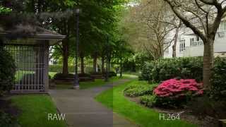 Canon 5D Mark III DSLR RAW vs H264 Video  Magic Lantern RAW Video [upl. by Marb]