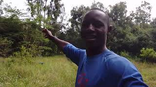 FULL EPISODE ABOUT KARURA FOREST NAIROBI RESIDENT [upl. by Hiasi]