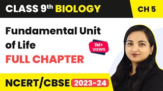 Class 9 Science Biology Chapter 2  Tissues Notes  New NCERT 202324  Excellent work [upl. by Adhern]