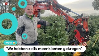 Duizenden vernielde kerstbomen toch verkocht [upl. by Seafowl]