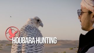 quotHoubara huntingquot  Falconry in the United Arab Emirates [upl. by Arinaid808]