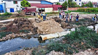 Perfect first new project Bulldozer Komatsu D20P is pouring soil clearing sewers Making a Road [upl. by Gerk]