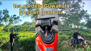 Tea garden  ASSAM  Guwahati  panbari [upl. by Inej884]