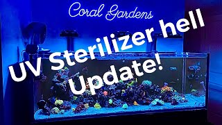 8 Month Update On the UV Sterilizer Hell Video Is it working [upl. by Allard]