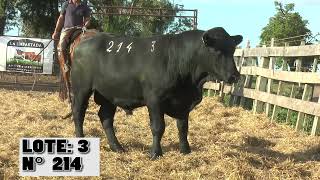 LOTE 3 214 [upl. by Chaim]