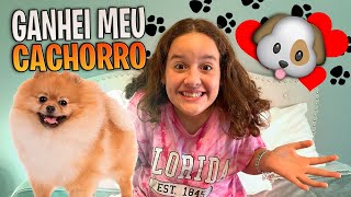 FINALMENTE GANHEI MEU CACHORRINHO DOS SONHOS [upl. by Nnylrahc]