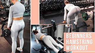 HAMSTRING Workout For Beginners  TIPS [upl. by Olotrab465]