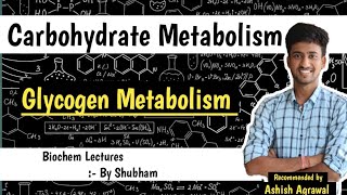 Glycogen Metabolism  Carbohydrate Metabolism  Biochemistry Lectures [upl. by Valida]