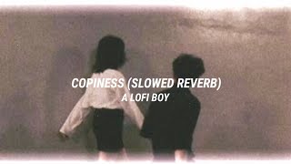 Aya Nakamura  Copiness 💛✨Slowed Reverb • A lofi boy ❣️ [upl. by Anyek188]