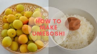 How to make ★Umeboshi★Epic episode〜梅干しの作り方〜EP108 [upl. by Aivun987]