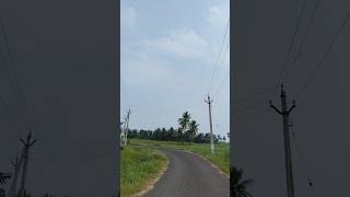 Nature nature peace godavari district village life trending shorts [upl. by Llenrahc]