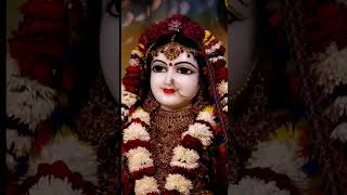 श्री राधे 🙏radheradhe viralshort trendingshorts ytshort bhajan2024 radharaanivrindavan [upl. by Fonzie842]