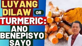 Luyang Dilaw or Turmeric Ano Benepisyo Sayo  By Doc Willie Ong Internist and Cardiologist [upl. by Eba]