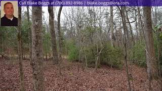 Snowy River Place Clarkesville GA 30523  MLS 8163153 [upl. by Bilicki]