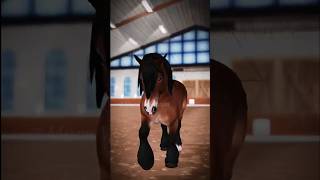 ⚠️FW⚠️ Ardennes Horse starstable [upl. by Nylarat]