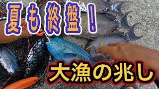 【沖縄釣り】離島行ったのに結局近場が釣れるんですよ！ [upl. by Ydok]