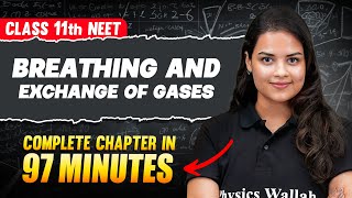 BREATHING AND EXCHANGE OF GASES in 97 Minutes  Full Chapter For NEET  PhysicsWallah [upl. by Cirdnek497]