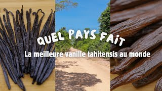 Quel pays fait la meilleure gousse de de vanille tahitensis au monde [upl. by Angy]