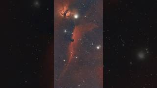 What the Horsehead Nebula looks like with a smart telescope 🔭 Vaonis Vespera [upl. by Cally]