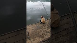 AMUROWE odejście CO shorts carpfishing fish carp hobby fishing kids hunter catch [upl. by Yklam652]