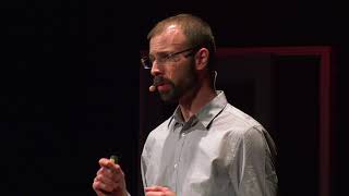 Lessons from a terrified horror researcher  Mathias Clasen  TEDxAarhus [upl. by Anim]