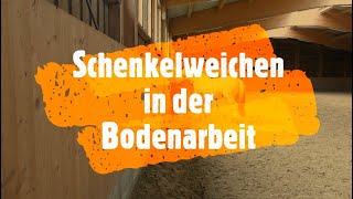 Schenkelweichen in der Bodenarbeit Gymnastizierung des Pferdes  Video Blog wwwbarockhengsteat [upl. by Nikita850]