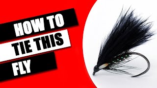 How to tie and fish Lindsays Cormorant flyfishing fishing catchandrelease [upl. by Bonner552]